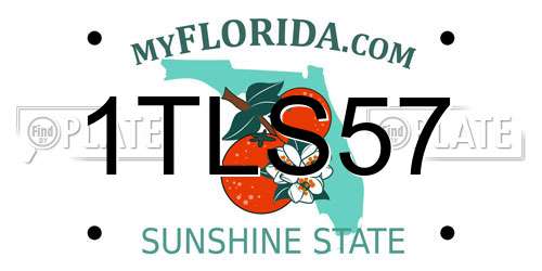 1TLS57 Florida License Plate