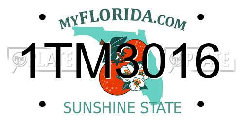 1TM3016 Florida License Plate