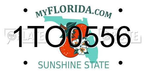 1TO0556 Florida License Plate