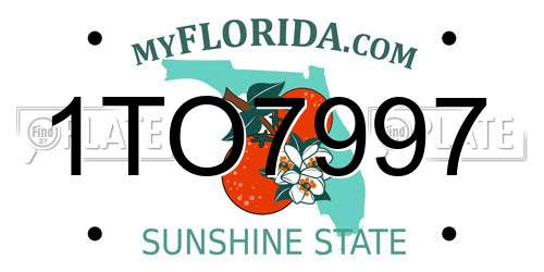 1TO7997 Florida License Plate