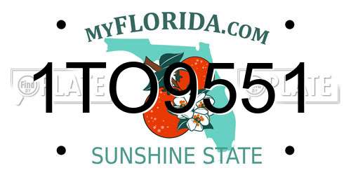 1TO9551 Florida License Plate