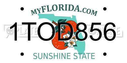 1TOD856 Florida License Plate