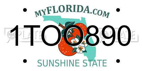 1TOO890 Florida License Plate