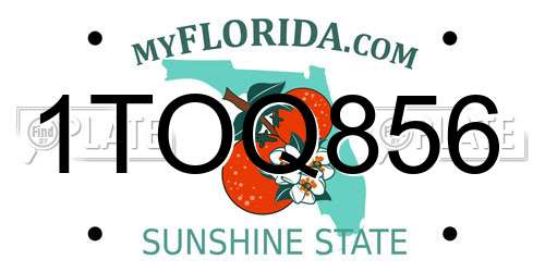 1TOQ856 Florida License Plate