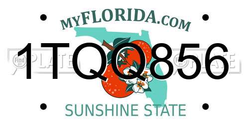 1TQQ856 Florida License Plate