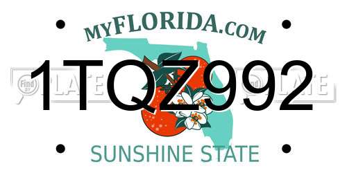 1TQZ992 Florida License Plate