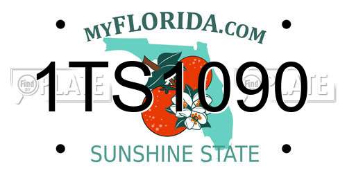 1TS1090 Florida License Plate
