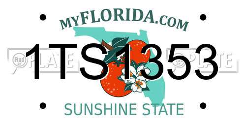 1TS1353 Florida License Plate