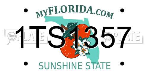 1TS1357 Florida License Plate