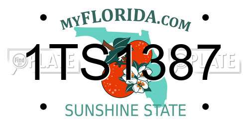 1TS1387 Florida License Plate