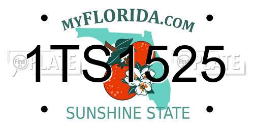 1TS1525 Florida License Plate