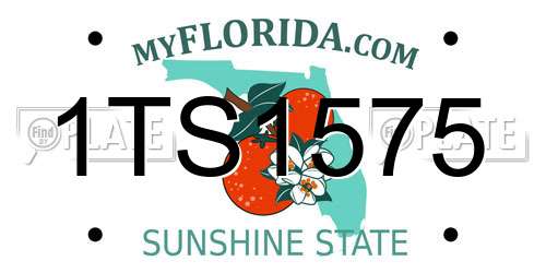 1TS1575 Florida License Plate