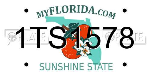 1TS1578 Florida License Plate