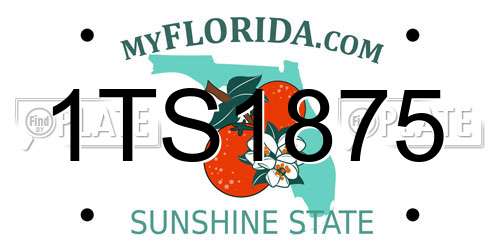 1TS1875 Florida License Plate