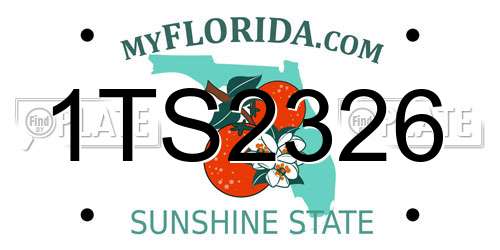 1TS2326 Florida License Plate