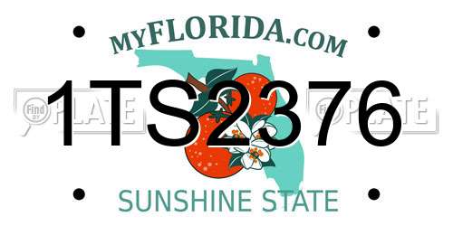 1TS2376 Florida License Plate