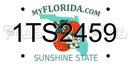 1TS2459 Florida License Plate