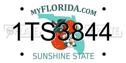 1TS3844 Florida License Plate