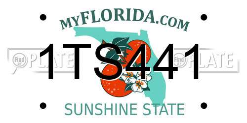 1TS441 Florida License Plate