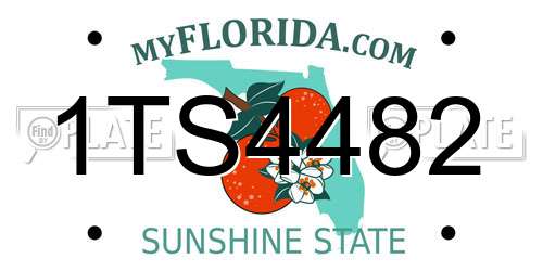 1TS4482 Florida License Plate