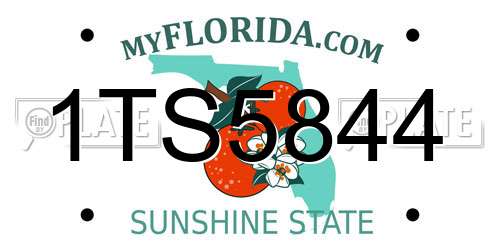 1TS5844 Florida License Plate