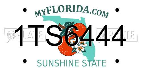1TS6444 Florida License Plate