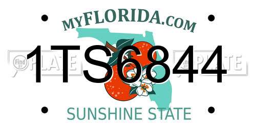 1TS6844 Florida License Plate
