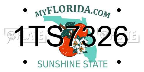 1TS7326 Florida License Plate