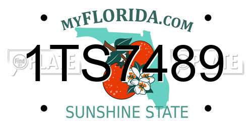 1TS7489 Florida License Plate