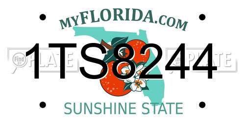 1TS8244 Florida License Plate