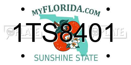 1TS8401 Florida License Plate