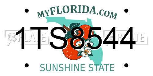 1TS8544 Florida License Plate