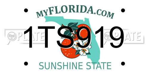 1TS919 Florida License Plate