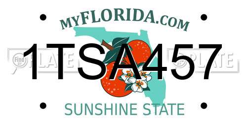 1TSA457 Florida License Plate