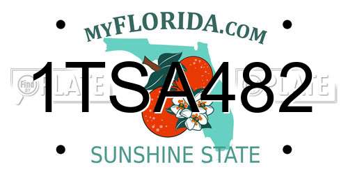 1TSA482 Florida License Plate