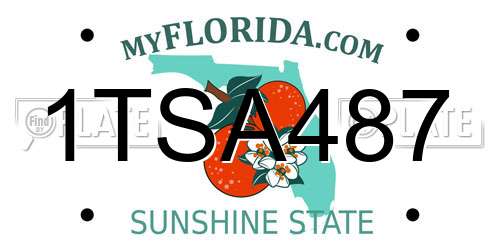 1TSA487 Florida License Plate