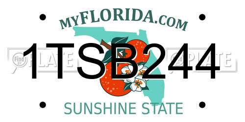 1TSB244 Florida License Plate