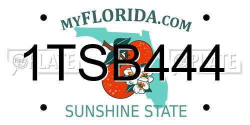 1TSB444 Florida License Plate