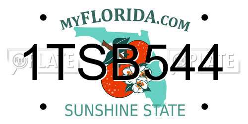 1TSB544 Florida License Plate