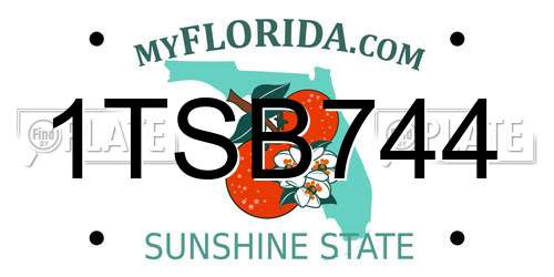 1TSB744 Florida License Plate