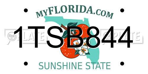 1TSB844 Florida License Plate