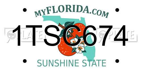 1TSC674 Florida License Plate