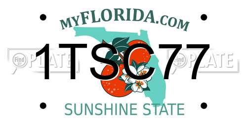 1TSC77 Florida License Plate