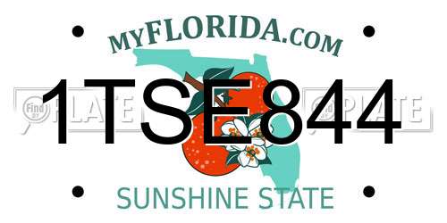 1TSE844 Florida License Plate