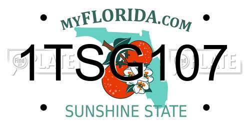 1TSG107 Florida License Plate