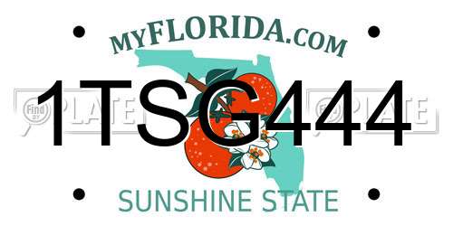 1TSG444 Florida License Plate