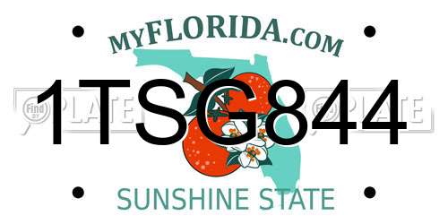 1TSG844 Florida License Plate