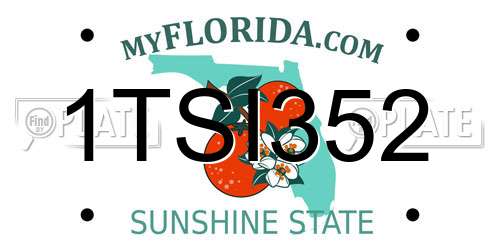1TSI352 Florida License Plate