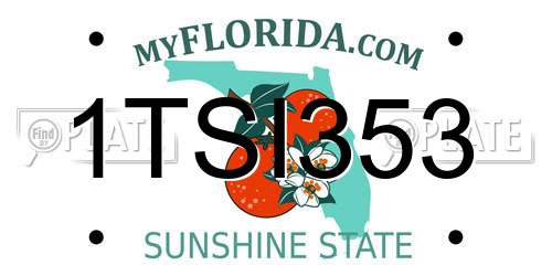 1TSI353 Florida License Plate