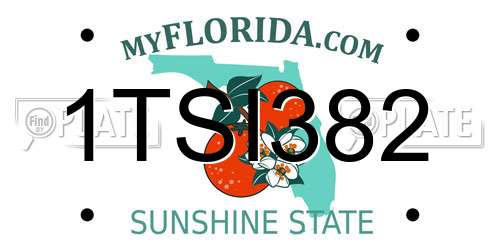 1TSI382 Florida License Plate